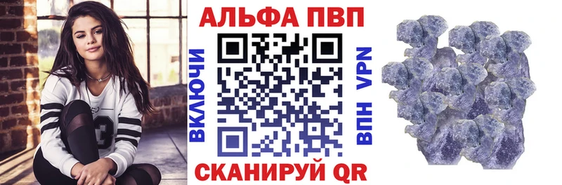 как найти   Элиста  A PVP СК КРИС 