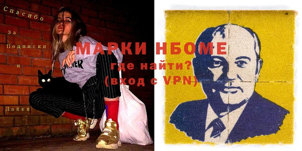 шишки Мегион
