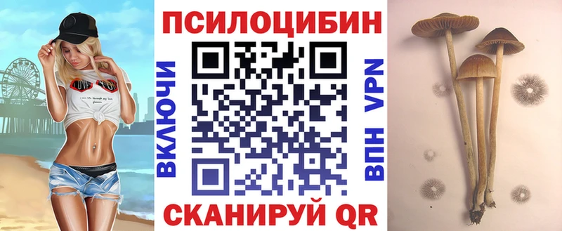 Галлюциногенные грибы мухоморы  Элиста 