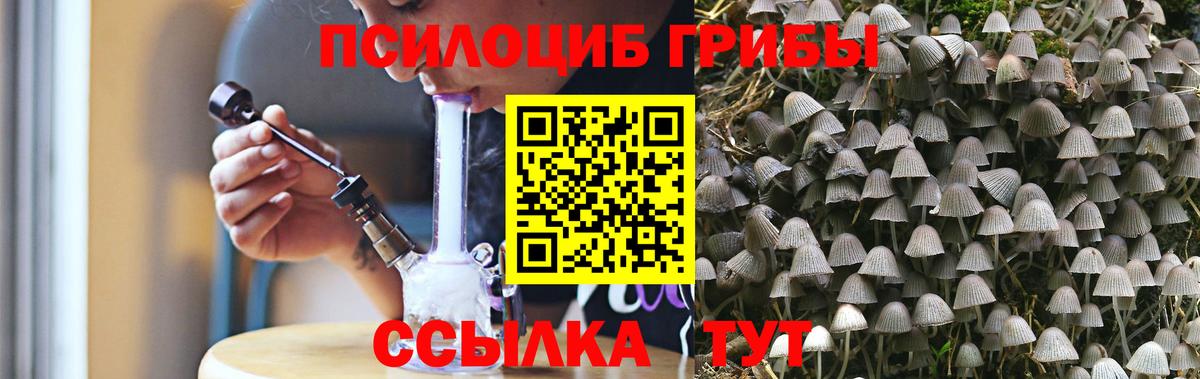 Галлюциногенные грибы Psilocybine cubensis  Вход с VPN  Элиста  Псилоцибиновые грибы мухоморы 